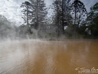 Im Terra Nostra Park mit seinem Thermalbad.Das Wasser hat 30Grad und ist sehr Eisenhaltig. Furnas/Sao Miguel