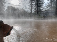 Im Terra Nostra Park mit seinem Thermalbad.Das Wasser hat 30Grad und ist sehr Eisenhaltig. Furnas/Sao Miguel