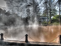 Im Terra Nostra Park mit seinem Thermalbad.Das Wasser hat 30Grad und ist sehr Eisenhaltig. Furnas/Sao Miguel